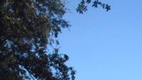 Los antiabortistas quieren que el aborto llegue a la Corte Suprema a partir de las restrictivas leyes estatales.