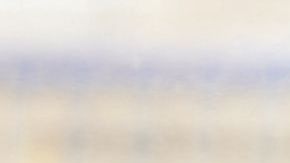 Bruno Marioni no será más el técnico de los Pumas con miras al torneo Apertura 2019