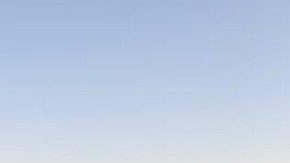 Imágenes de la operación.