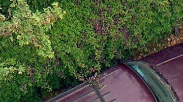 La imagen aérea muestra a funcionarios de la Oficina de Alcohol, Tabaco, Armas de Fuego y Explosivos durante la redada de este miércoles en Los Ángeles.