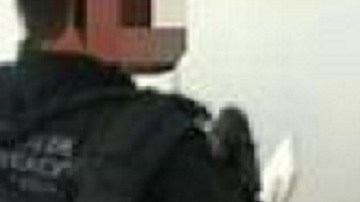 El operativo se realizó tras una denuncia ciudadana.