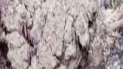 Pareja quemada viva en San Luis Potosí