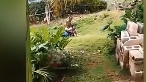 Un niño en pañales presenció parte de la escena.
