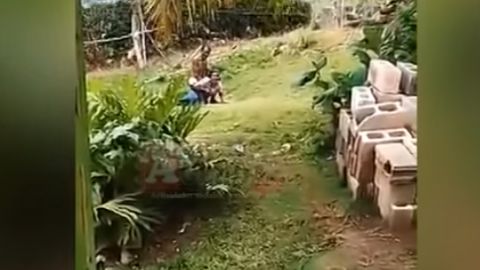 Un niño en pañales presenció parte de la escena.