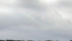 El Centro de Mamíferos Marítimos realizará una necropsia para identificar la causa de su muerte.
