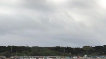 El Centro de Mamíferos Marítimos realizará una necropsia para identificar la causa de su muerte.