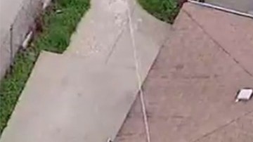 El callejón donde se halló al niño.