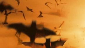 Batman begins