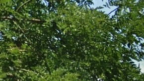 Beach 40 Street, Edgemere