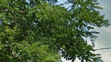 Beach 40 Street, Edgemere