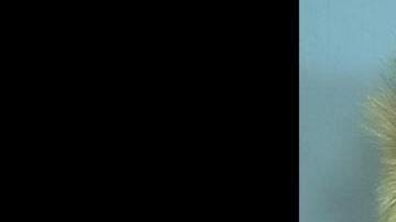 Billie Allen quería repetir el fracasado plan del jefede su banda.