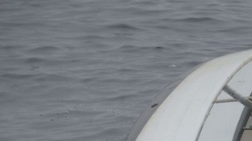 65 millas al oeste de Atlantic City