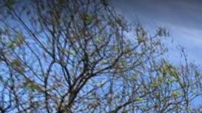 Intersección entre la calle Chisholm y la avenida James A. Polite