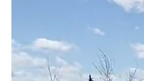 Cayóa cerca del helipuerto de W. 30th St