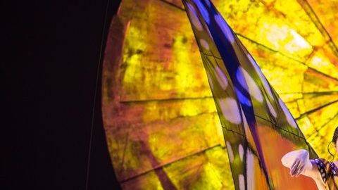 Cirque du Soleil