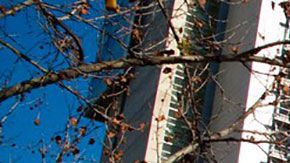 San Jose es una de las ciudades más ricas gracias a las grandes empresas de tecnología que pagan muy buenos sueldos.