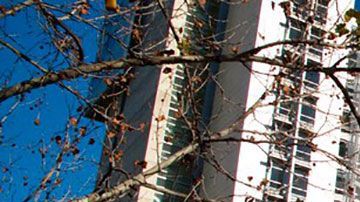 San Jose es una de las ciudades más ricas gracias a las grandes empresas de tecnología que pagan muy buenos sueldos.