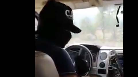 Presunto integrante del CJNG