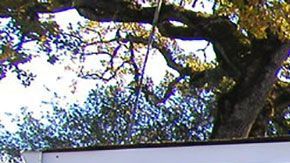 El ingreso promedio por hogar de esta ciudad es de  tan sólo $27,034 dólares.