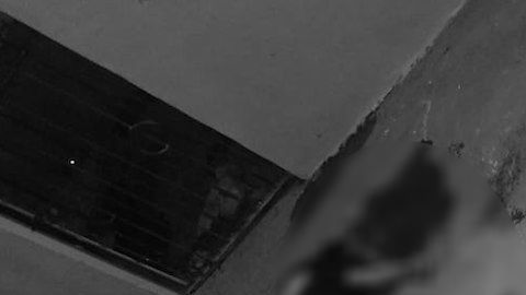 Los cuerpos quedaron en el patio junto a unas botellas.