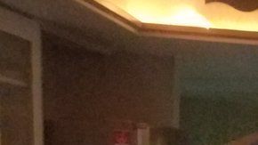 Nadie espera hallar un cocodrilo como este en la cocina.