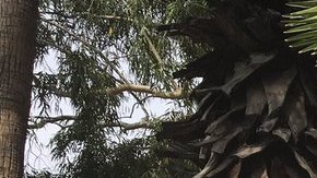 Activistas de No Más Muertes durante un evento.