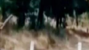 Del CJNG o de Los Viagras Cinco quedaron tan quemados que quizá nunca lo sabremos