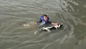Un hombre salta a las frías aguas del East River para salvar a un perro.
