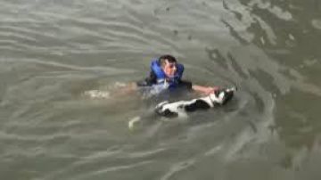 Un hombre salta a las frías aguas del East River para salvar a un perro.