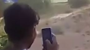 La madre solo quería que su cría muriera en paz.