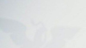 Enrique Alfaro, gobernador de Jalisco.