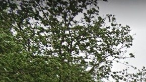 Esquina de Bay 25th St y Benson Av