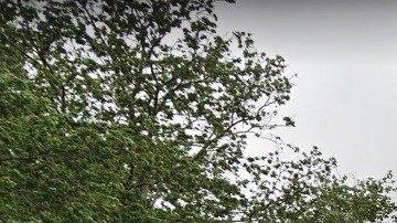 Esquina de Bay 25th St y Benson Av