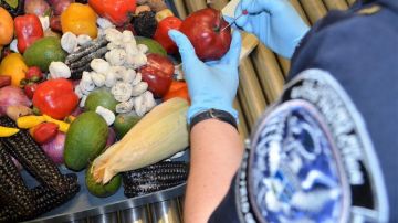 Las autoridades vigilan el ingreso de frutas y verduras a EEUU.
