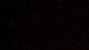 20 autos clásicos fueron perdidos en el incendio