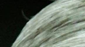 Trump ha tratado de desprestigiar la investigación de Mueller.