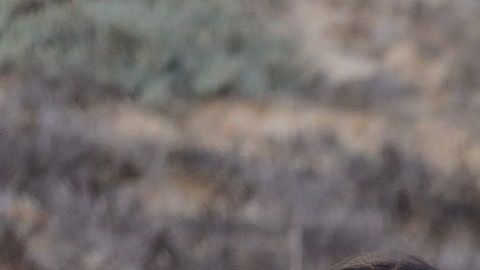 Los inmigrantes en México necesitan ayuda del gobierno.