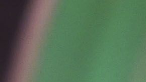 Los autos eléctricos son el futuro