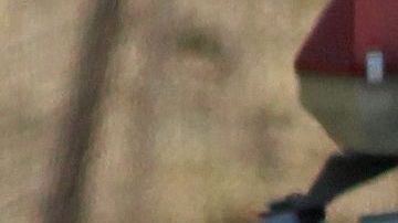 Forenses recuperan cadáveres en Ixtlahuacan de los Membrillos, Jalisco.