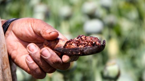 Un campesino  muestra un puñado de savia de opio cosechada.