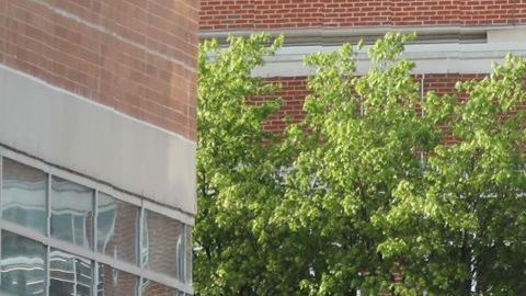 El campus en bloqueo después de un tiroteo en la Universidad de Carolina del Norte en Charlotte.