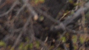 El área fue acordonada en Colorado.