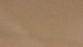 NEW YORK, NY - MAY 13: Mayor Bill De Blasio holds a Green New Deal rally At Trump Tower in New York City on May 13 2019. Mayor de Blasio recently unveiled his Green New Deal to reduce carbon emissions in New York City. (Photo by Yana Paskova/Getty Images)