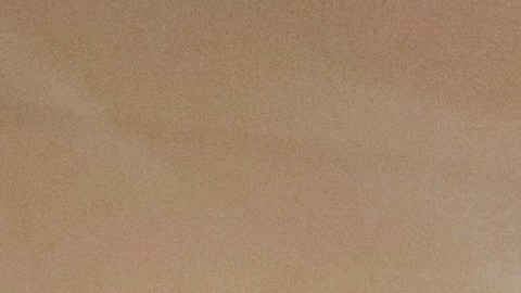 NEW YORK, NY - MAY 13: Mayor Bill De Blasio holds a Green New Deal rally At Trump Tower in New York City on May 13 2019. Mayor de Blasio recently unveiled his Green New Deal to reduce carbon emissions in New York City. (Photo by Yana Paskova/Getty Images)