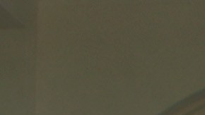 El presidente Trump presentó las líneas generales de su proyecto migratorio.