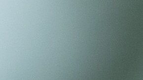 Presidente Donald Trump.