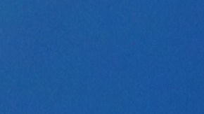 Tottenham Hotspur Training and Press Conference