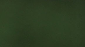 President Donald Trump Delivers Remarks On Modernizing U.S. Immigration