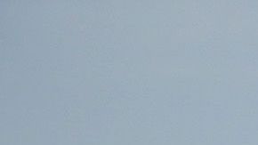 Migrantes en "La Bestia".