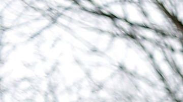 Ken Cuccinelli (i) y Rand Paul en una foto de julio de 2014.